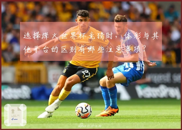 选择烽火世界杯竞猜时，体彩与其他平台的区别有哪些注意事项？