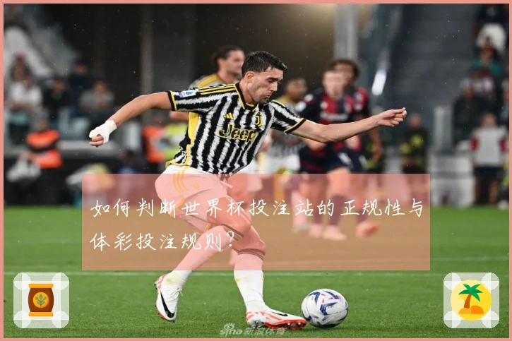 如何判断世界杯投注站的正规性与体彩投注规则？