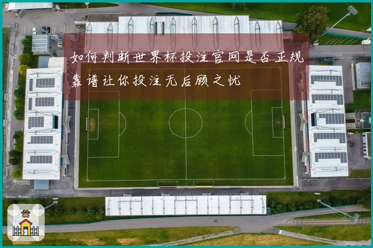 如何判断世界杯投注官网是否正规靠谱让你投注无后顾之忧