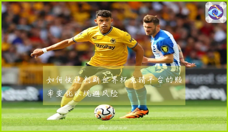 如何快速判断世界杯竞猜平台的赔率变化以规避风险