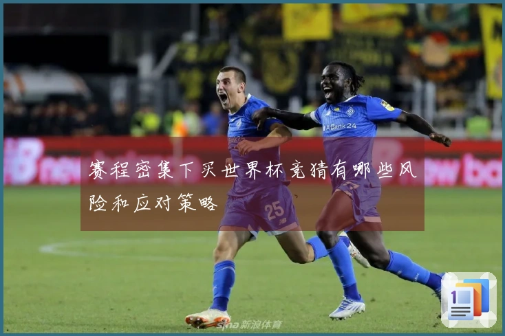 赛程密集下买世界杯竞猜有哪些风险和应对策略