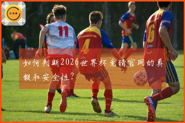 如何判断2026世界杯竞猜官网的真假和安全性？