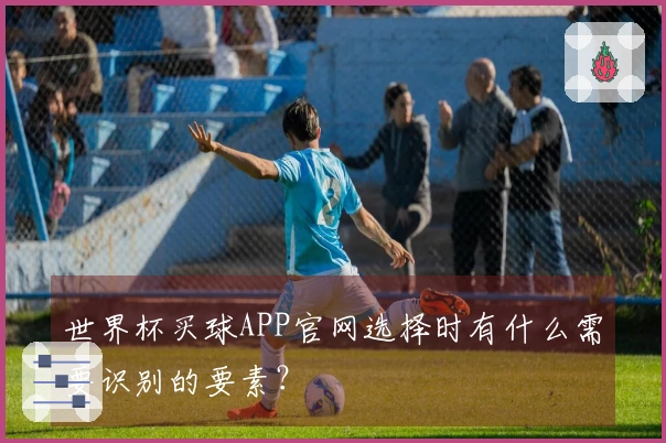 世界杯买球APP官网选择时有什么需要识别的要素？