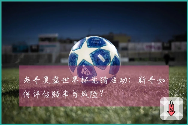 老手复盘世界杯竞猜活动：新手如何评估赔率与风险？