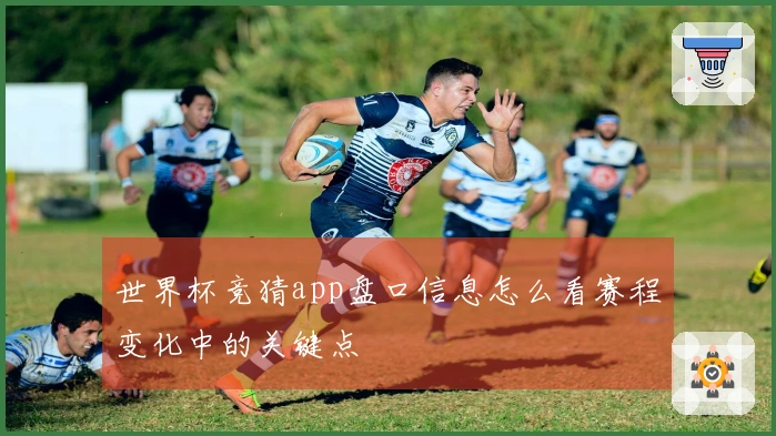 世界杯竞猜app盘口信息怎么看赛程变化中的关键点