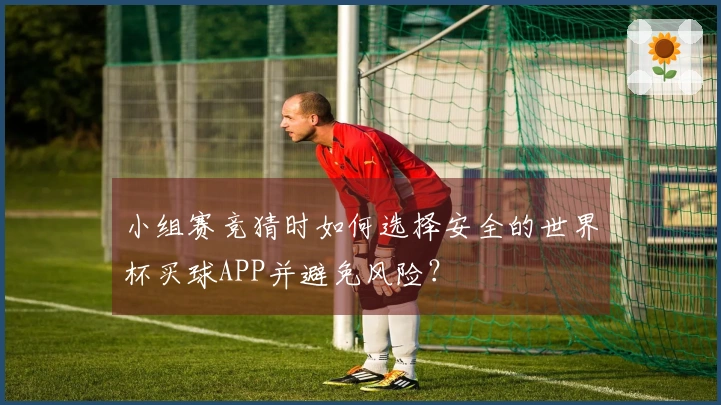 小组赛竞猜时如何选择安全的世界杯买球APP并避免风险？