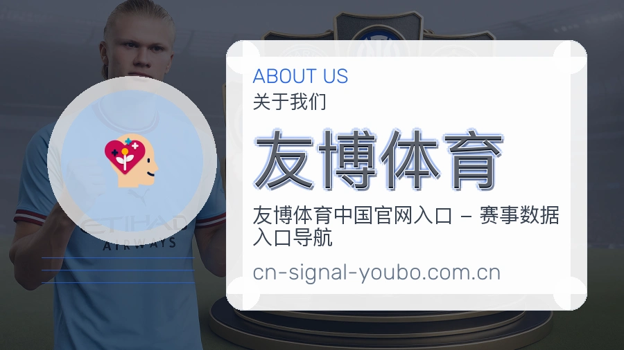 关于友博体育